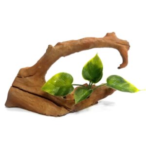 קישוט לאקווריום גזע עם צמח SZ-770 אורך 20 סמ