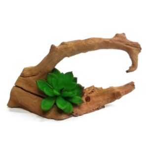 קישוט לאקווריום גזע עם צמח SZ-771 אורך 20 סמ