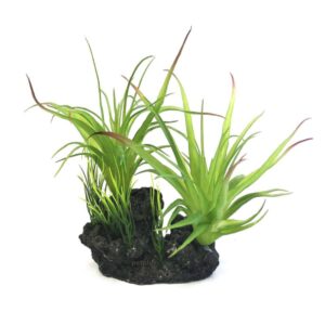 קישוט לאקווריום צמח SC-1005 אורך 25 סמ