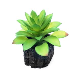 קישוט לאקווריום צמח SC-1091