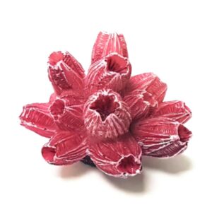 מארז 3 קישוט לאקווריום שונית אלמוגים SZ-603