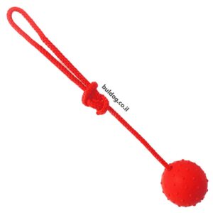 צעצוע כדור גומי יצוק 6.5 ס"מ על חבל
