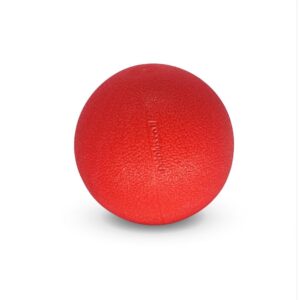 צעצוע כדור גומי יצוק 5 ס"מ