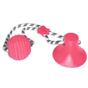 משחק משיכה לכלב כדור על חבל RN93 - ורוד