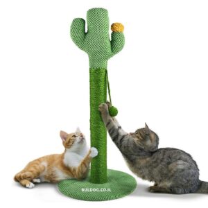 מתקן גירוד לחתול RN0208 - קקטוס - 69×40 סמ