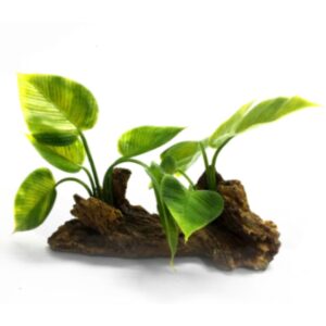 קישוט לאקווריום גזע עם צמח SZ-484 רוחב 17 סמ